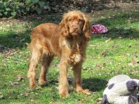 k-IMG_0024.jpg