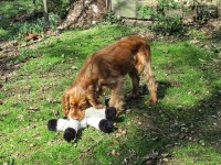 k-IMG_0043.jpg