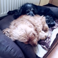 20190413_114008.jpg
