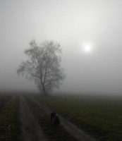 20.JPG