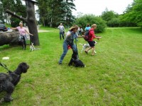 14.JPG (91.9 KiB) 307 mal betrachtet 14.JPG