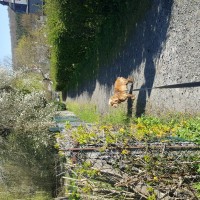 Der Nachhauseweg