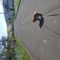Richtung nach Hause