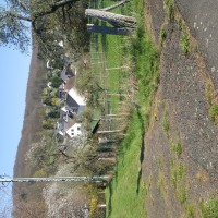 20190418_163117.jpg