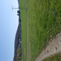 20190418_161552.jpg