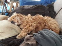 20190414_151841.jpg
