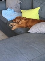 IMG-20190424-WA0013.jpg