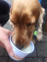 IMG-20190501-WA0010.jpg