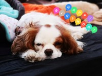 Alles gute zum Geburtstag Leni