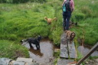 ...geschafft! Auf der anderen Seite vom Wanderweg...