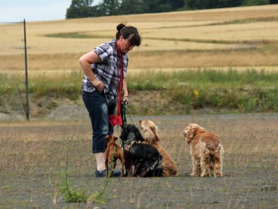 Das Bild ist von Juli 2014 noch mit Miu