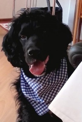 2019041904_benys.jpg