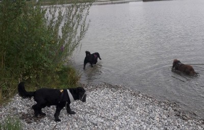 Aber am meisten Spaß haben wir in Unterhaching bei den Infineon-Gebäuden. Davor gibt´s eine ganze Reihe Weiher und eine wunderschöne Wiese.