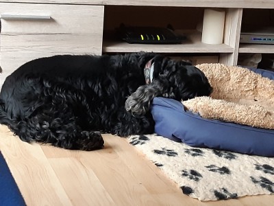 20190913_192629.jpg