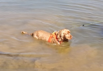 20190922_140932.jpg