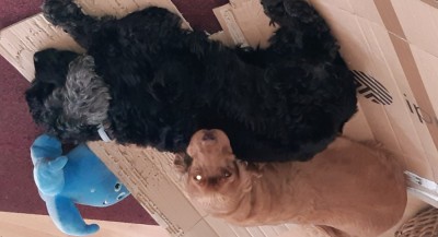 20191001_161423.jpg