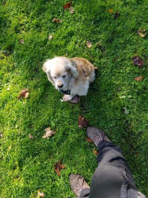 Benny im Schatten von Ivonne