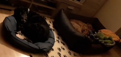 20191018_222653.jpg