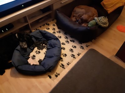 20191016_195207.jpg