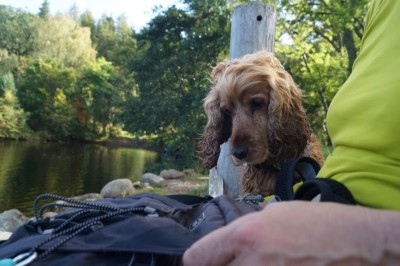 Wo ist das Lunchpaket? Schwimmen macht hungrig.