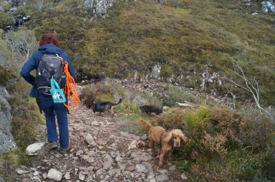 ...die Steigerung...