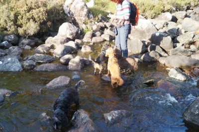 Brücke??? Fehlanzeige!