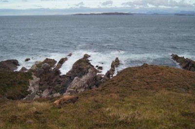 Das interessiert die Zwo (Zümi &amp; Amelie) aber nicht.