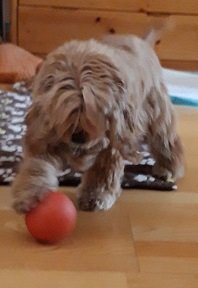 Ballspiel.jpg
