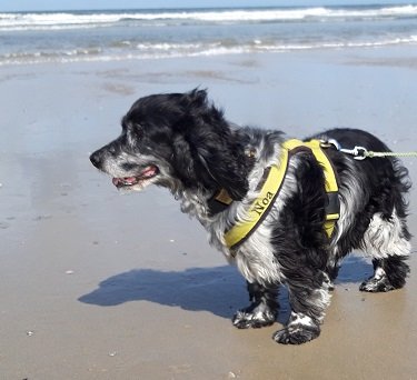 20190912_125448Noa_am_Meer.jpg