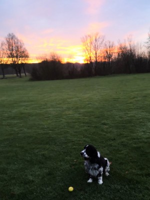 IMG_20191217_162237_1_BURST001_COVER (2).jpg