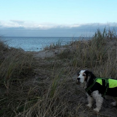 +49 1511 4485085 20191224_161918.jpg