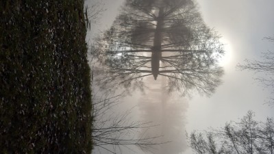 028.jpg (249.25 KiB) 1024 mal betrachtet Wir sind vor der Sylvester-Knallerei zum Campingplatz geflüchtet