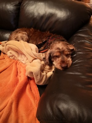 IMG_20200125_180138.jpg