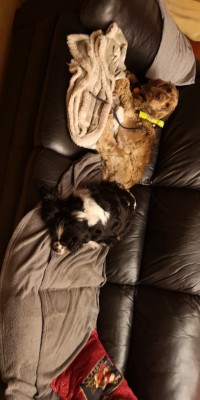 IMG-20200209-WA0019.jpeg