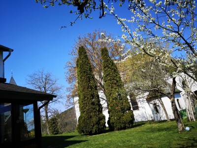 IMG_20200411_140748.jpg