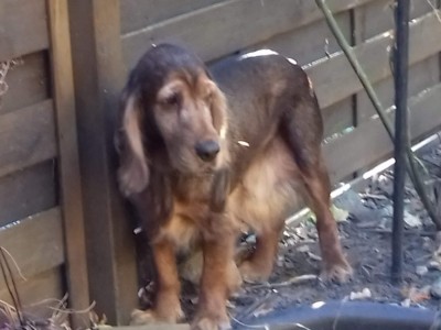 Odetje1-IMG-20200411-WA0013.jpg (266.9 KiB) 8974 mal betrachtet Odetje1-IMG-20200411-WA0013.jpg