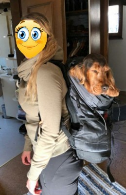 94779354_3010964738961568_6224633704807923712_n.jpg (114.01 KiB) 9308 mal betrachtet 94779354_3010964738961568_6224633704807923712_n.jpg