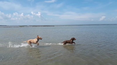 Odetje4-IMG-20200411-WA0006.jpg (224.75 KiB) 9308 mal betrachtet Odetje4-IMG-20200411-WA0006.jpg