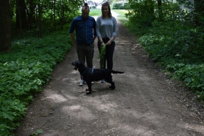 im Wald.JPG