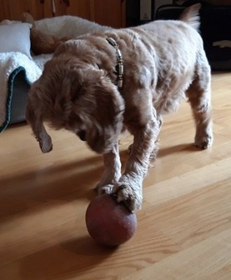 Ballspieler.jpg (48.38 KiB) 1268 mal betrachtet Ballspieler.jpg