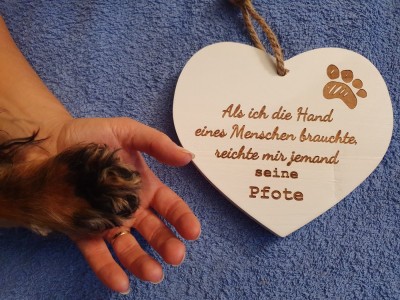 20201008_181537.jpg