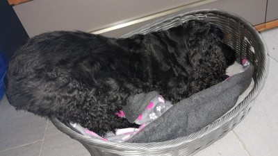 IMG_20201025_140355028~2.jpg