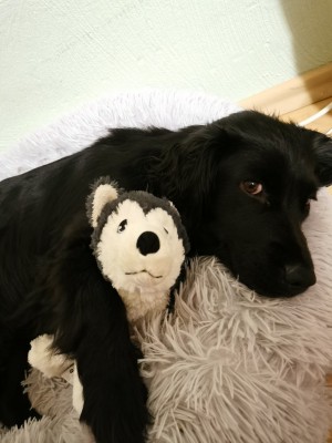 IMG_20201117_212150.jpg