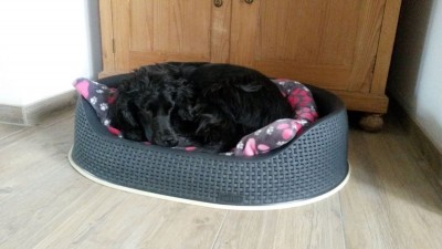 müdchen_.jpg (267.35 KiB) 1042 mal betrachtet müdchen_.jpg