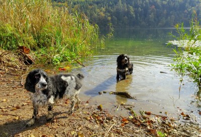 S+P-DSC04278 Kopie.jpg