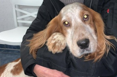 bella1.jpg