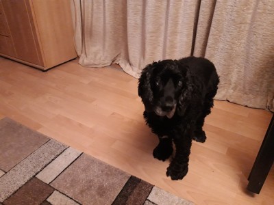 20201007_214854.jpg