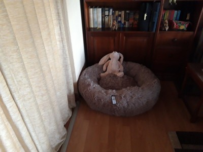 20201119_132155.jpg