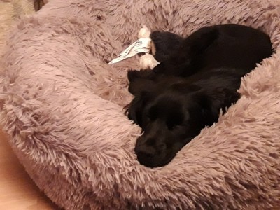 20201130_202212.jpg
