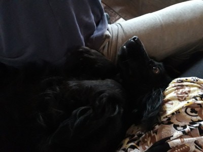 20201124_112200.jpg